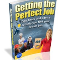 Getting The Perfect Job