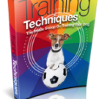 Training Techniques